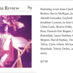 Literary Journal - Tampa Review Cover